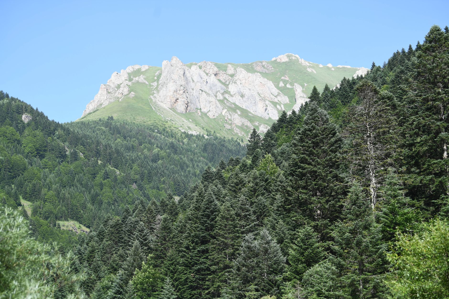 Chimyon va Chorbog' tog' manzaralari